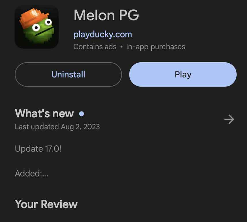 Melon PG for melon playground mods